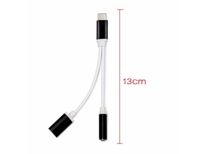 3.5mm Headphone Jack Adapter 2 in 1 Audio cable For Type C Phone