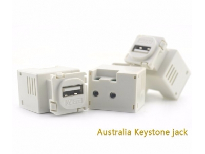 5V 2A Smart Keystone Jack USB Charger
